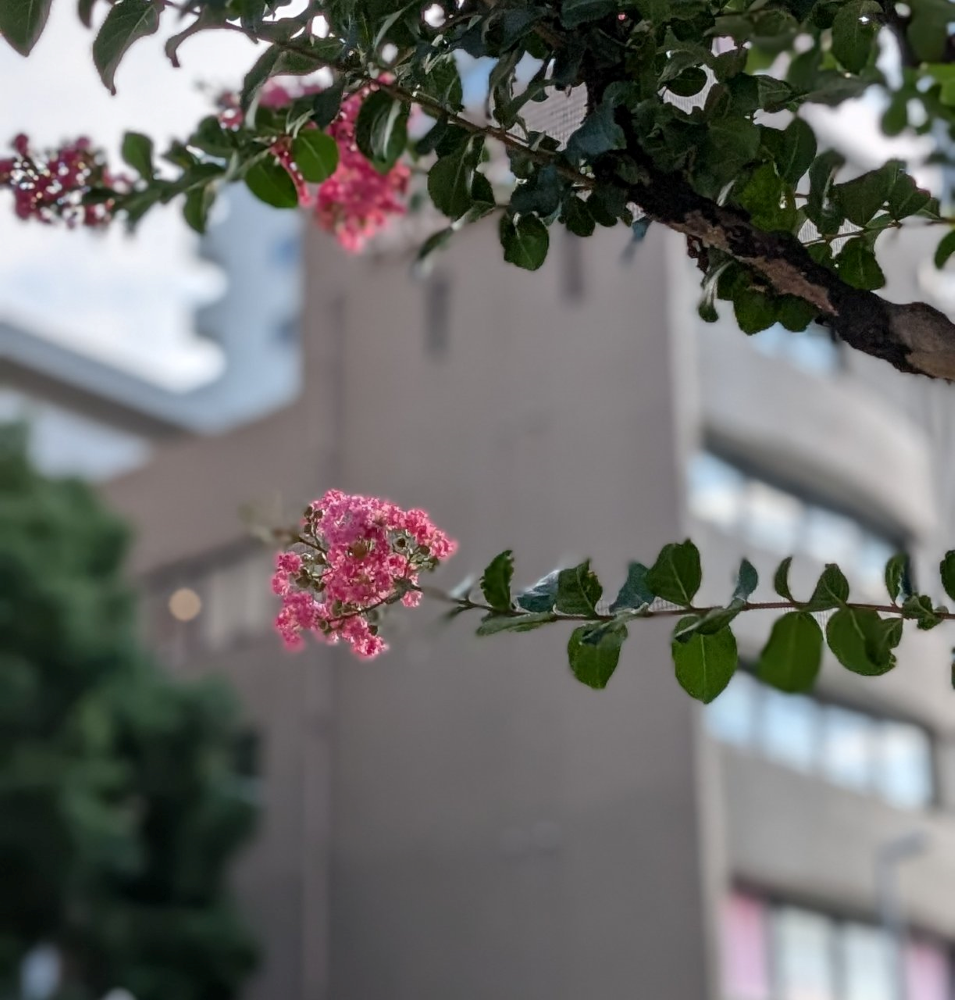 「気がつく瞬間」